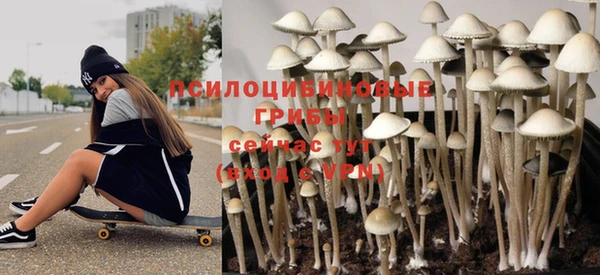 spice Алексеевка