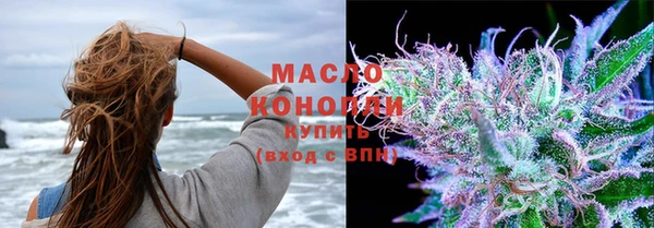 гидропоника Алзамай