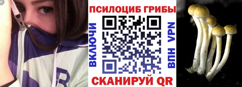 omg ТОР Алейск Галлюциногенные грибы GOLDEN TEACHER